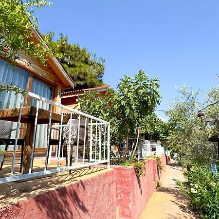 Gaia Bungalow Bed and Breakfast Ayvalı Buitenkant foto