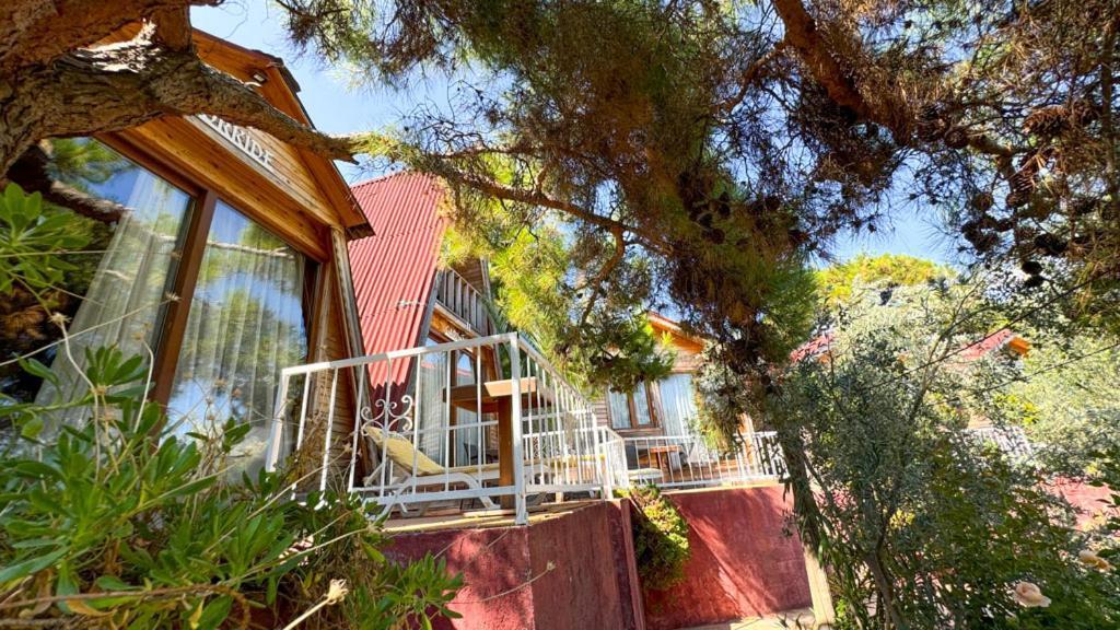 Gaia Bungalow Bed and Breakfast Ayvalı Buitenkant foto